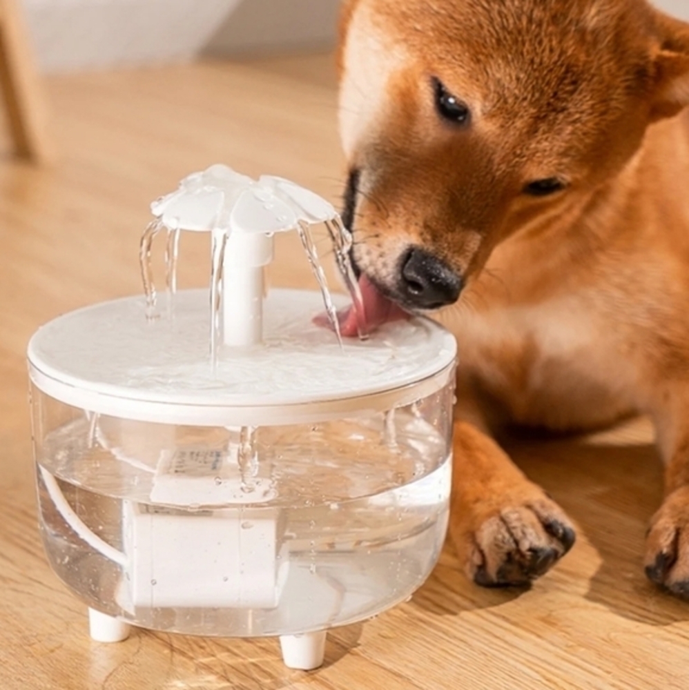 Transparent Pet‎ Water Fountain Automatic Cat & Dog Flower USB Powered Dispenser - Picture 5 of 14